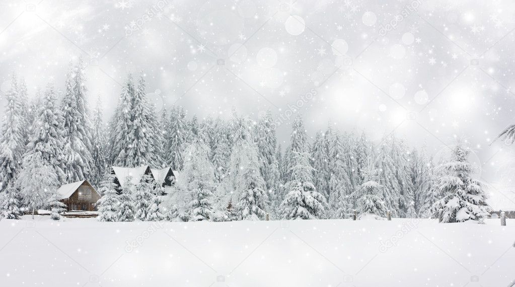 Christmas background with stars and snowy fir trees