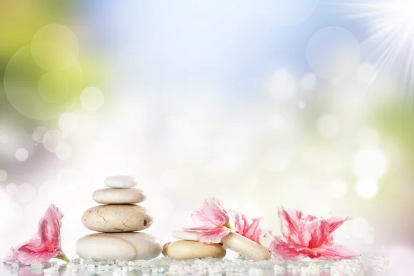 White spa stones and flower on colorful background — Stock Photo, Image