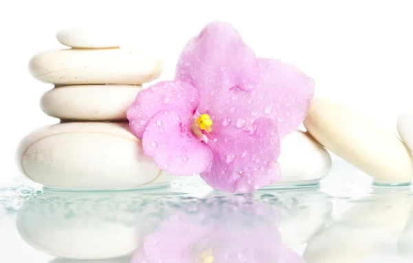 White Spa Stone auf weiß mit Blume — Stockfoto