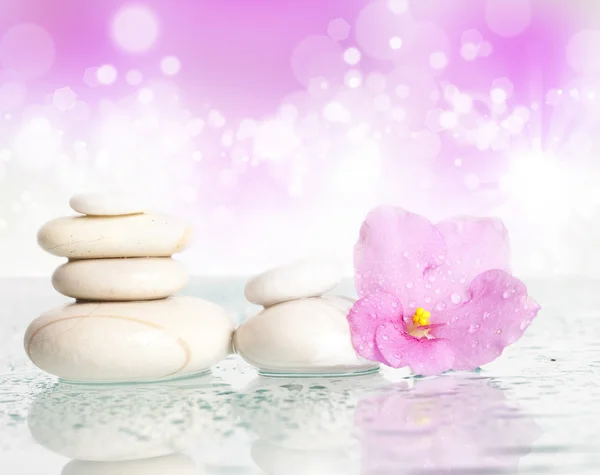 White spa stones and flower on colorful background — Stock Photo, Image