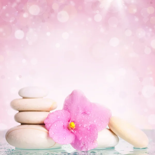 白色的 spa 石头和彩色背景上的花 — 图库照片