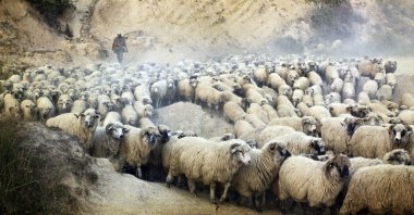onun akın ile eski fotoğraf çoban