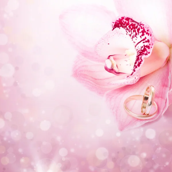 Orquídea rosa y anillo de bodas —  Fotos de Stock