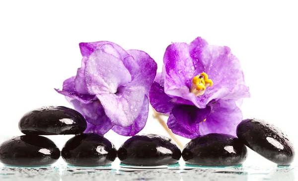Spa behandeling massage stenen en violet bloem — Stockfoto