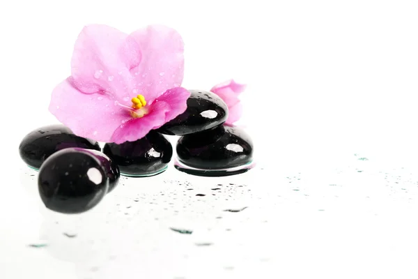 Tratamiento spa piedras de masaje y flor rosa — Foto de Stock