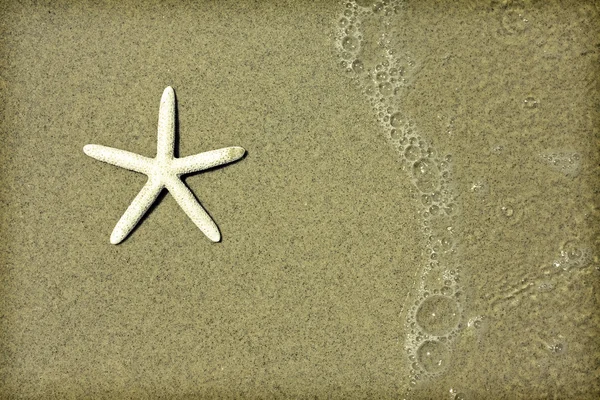 Stelle marine e onde — Foto Stock