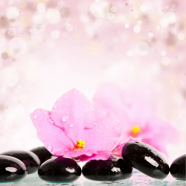 Spa stones and flower — Stock Photo, Image