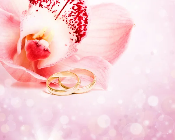 Orchid and wedding rings — Stock Photo, Image