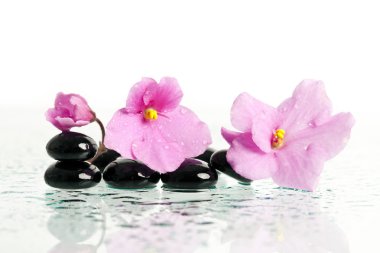 siyah spa taş ve çiçek