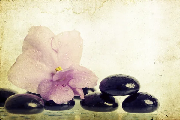Vintage spa πέτρες και λουλούδι — Φωτογραφία Αρχείου