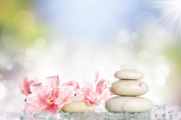 Spa stones and flower — Stock Photo, Image