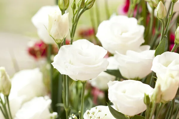 Букет белых роз — стоковое фото