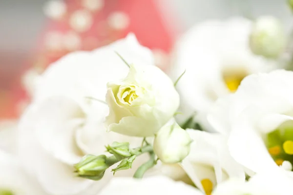 Bouquet of white roses — Stock Photo, Image