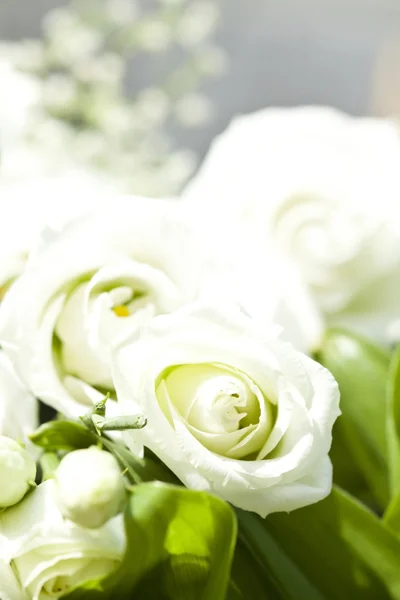 Bouquet of white roses — Stock Photo, Image