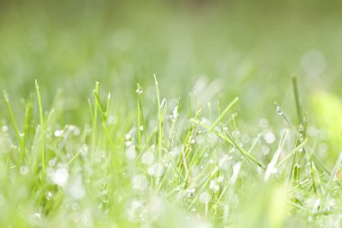 soyut ilkbahar arka plan