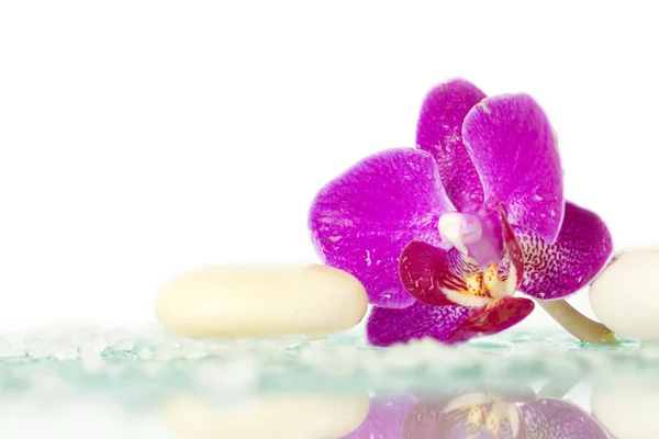 Wellness kameny a růžová orchidej — Stock fotografie