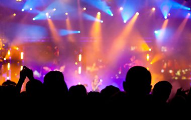 Konserde tezahürat yapan kalabalık
