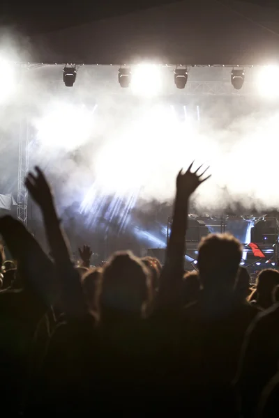 Cheering crowd at concert — Stock Photo, Image