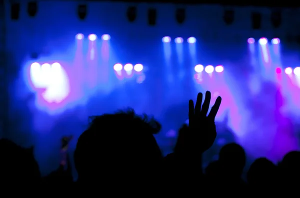 Cheering crowd at concert — Stock Photo, Image