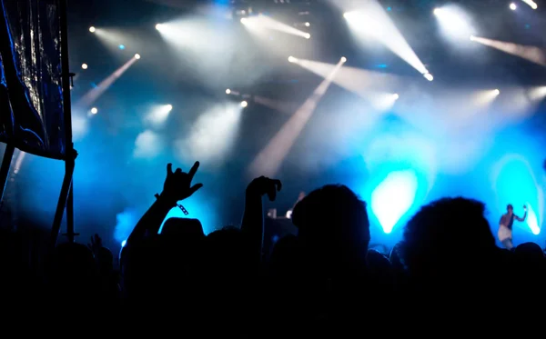 Jublande publik på konsert — Stockfoto