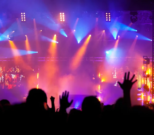 Animando a la multitud en concierto — Foto de Stock