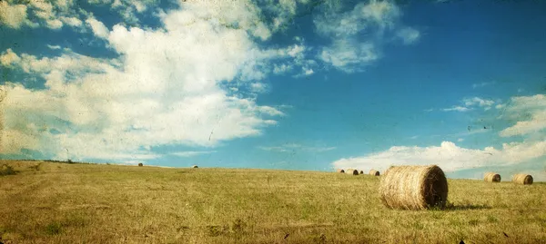 Hay-roll on field — Stock Photo, Image