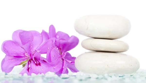 Spa stones and pink flower — Stock Photo, Image