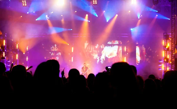 Cheering crowd at concert — Stock Photo, Image