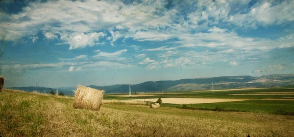 Hay-roll op veld na de oogst — Stockfoto