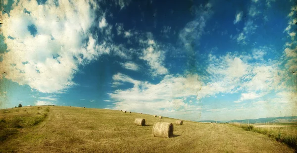 Hay-rollen op veld na de oogst — Stockfoto