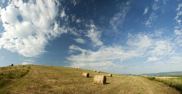 Hay-rollen op veld — Stockfoto