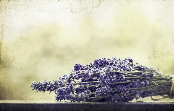 Profumo di lavanda — Foto Stock