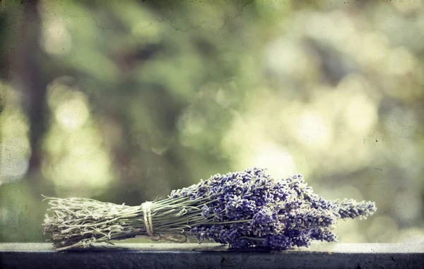 Lavendel boeket — Stockfoto