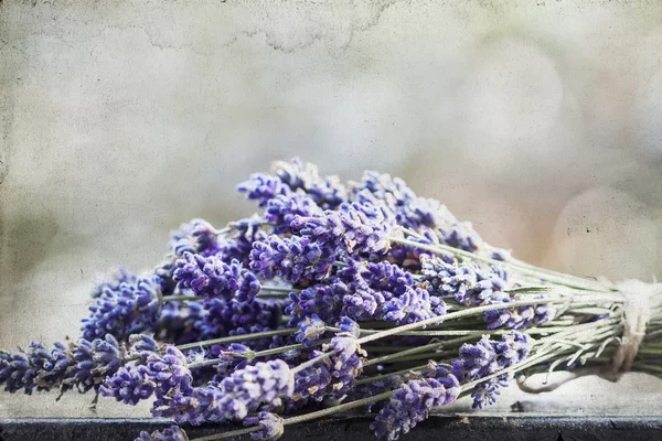 Profumo di lavanda — Foto Stock