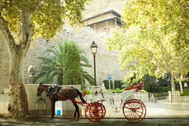 turistler için bekleyen at arabası