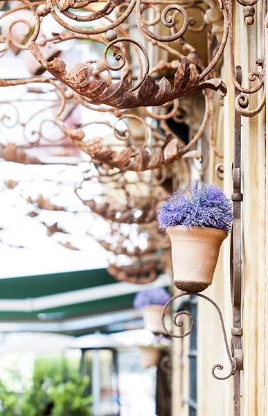 Vaso de flores na parede — Fotografia de Stock