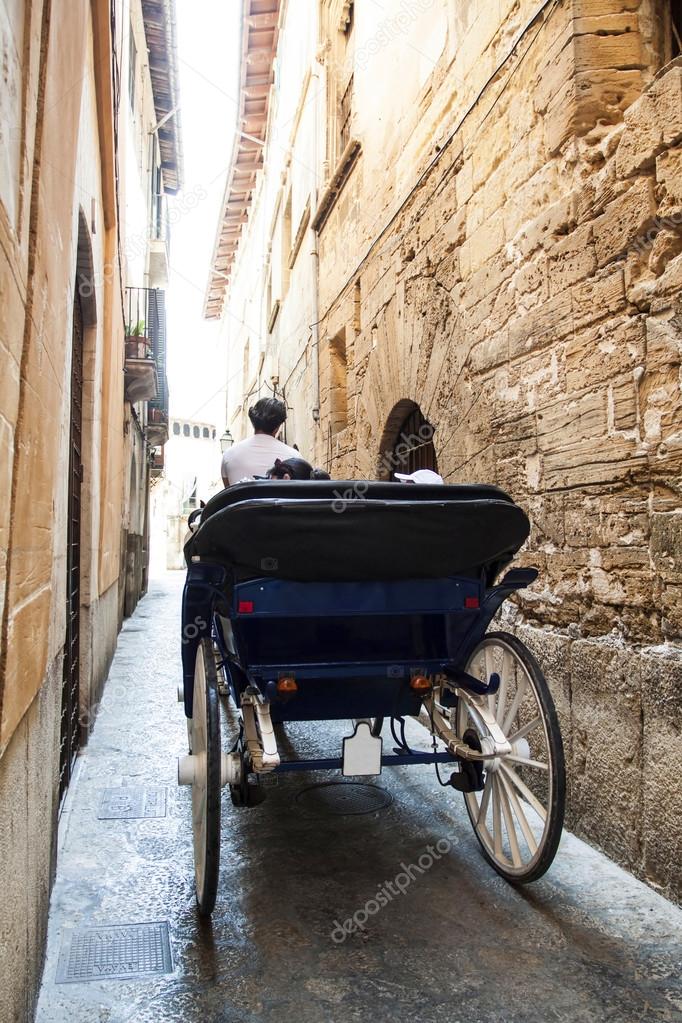 Tourist chariot in old city