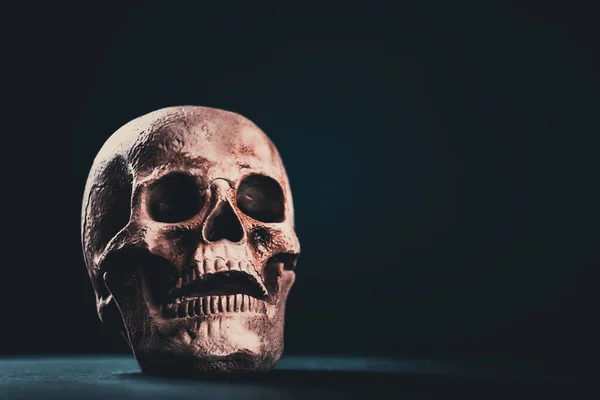 Spooky Skull Halloween Horror Wallpaper — Stock Photo, Image