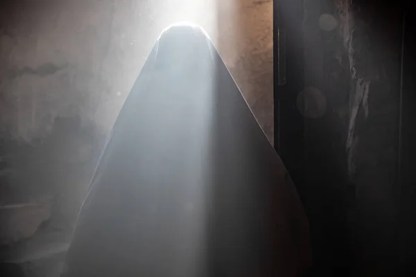 暗く不気味なハロウィンの夜に恐ろしい幽霊 — ストック写真