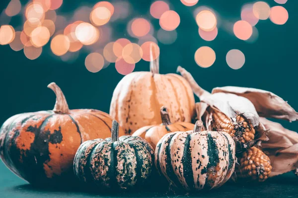 Höstpumpa Halloween Och Thanksgiving Bakgrund Orange Pumpor Över Träbord — Stockfoto