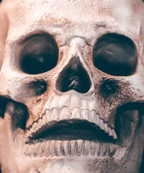 Papel Pintado Del Cráneo Grunge Miedo Fondo Halloween — Foto de Stock