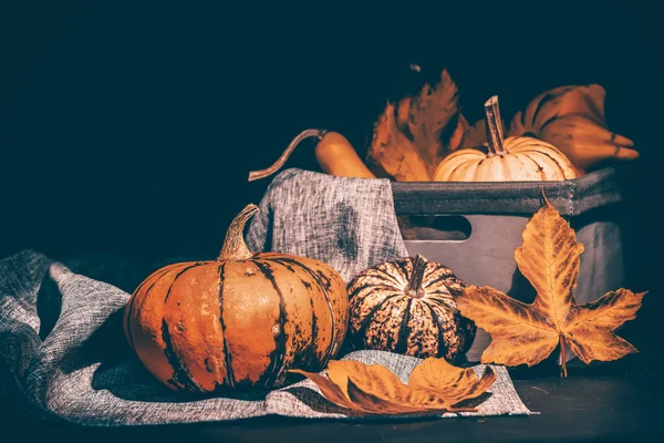 Rustik Höst Stilleben Med Pumpor Och Korg Ett Träbord Halloween — Stockfoto