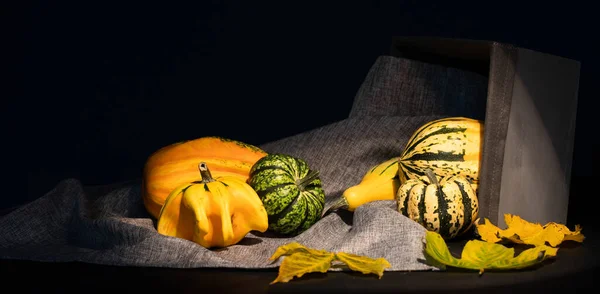 Bodegón Rústico Otoño Con Calabazas Una Cesta Sobre Una Mesa — Foto de Stock