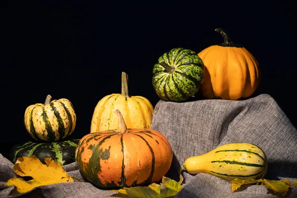 Rustik Höst Stilleben Med Pumpor Och Korg Ett Träbord Halloween — Stockfoto