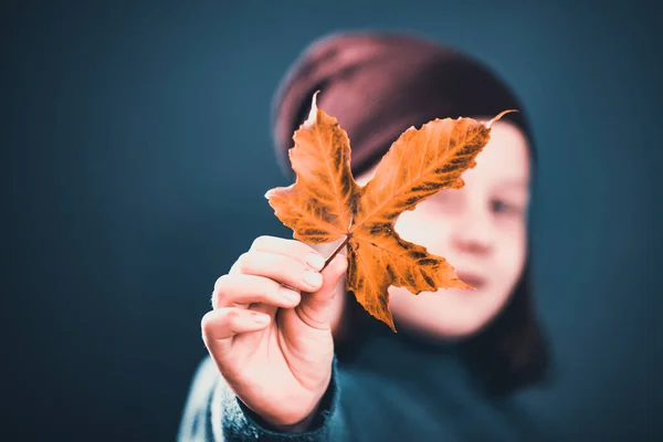 抱着金黄枫叶的小女孩 — 图库照片