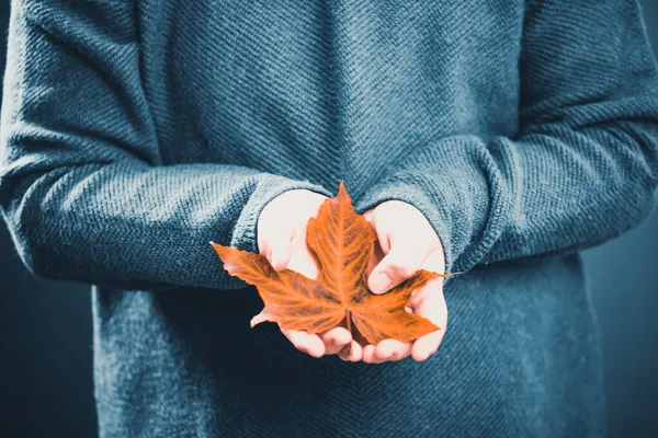 Little Girl Holding Golden Maple Leaf Her Hand — Stock Photo, Image