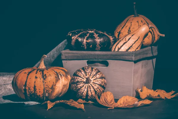 Rustikales Herbststillleben Mit Kürbissen Und Einem Korb Auf Einem Holztisch — Stockfoto