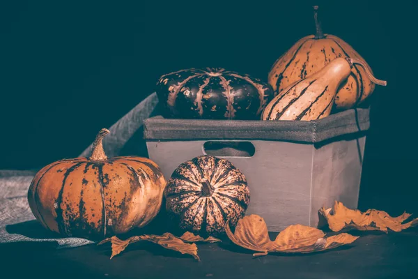 Bodegón Rústico Otoño Con Calabazas Una Cesta Sobre Una Mesa — Foto de Stock