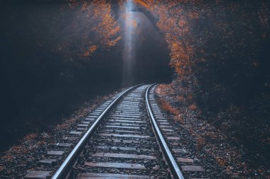 Sonbahar ormanlarında demiryolu rayları