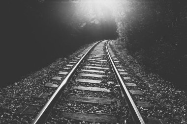 Sonbahar ormanlarında demiryolu rayları